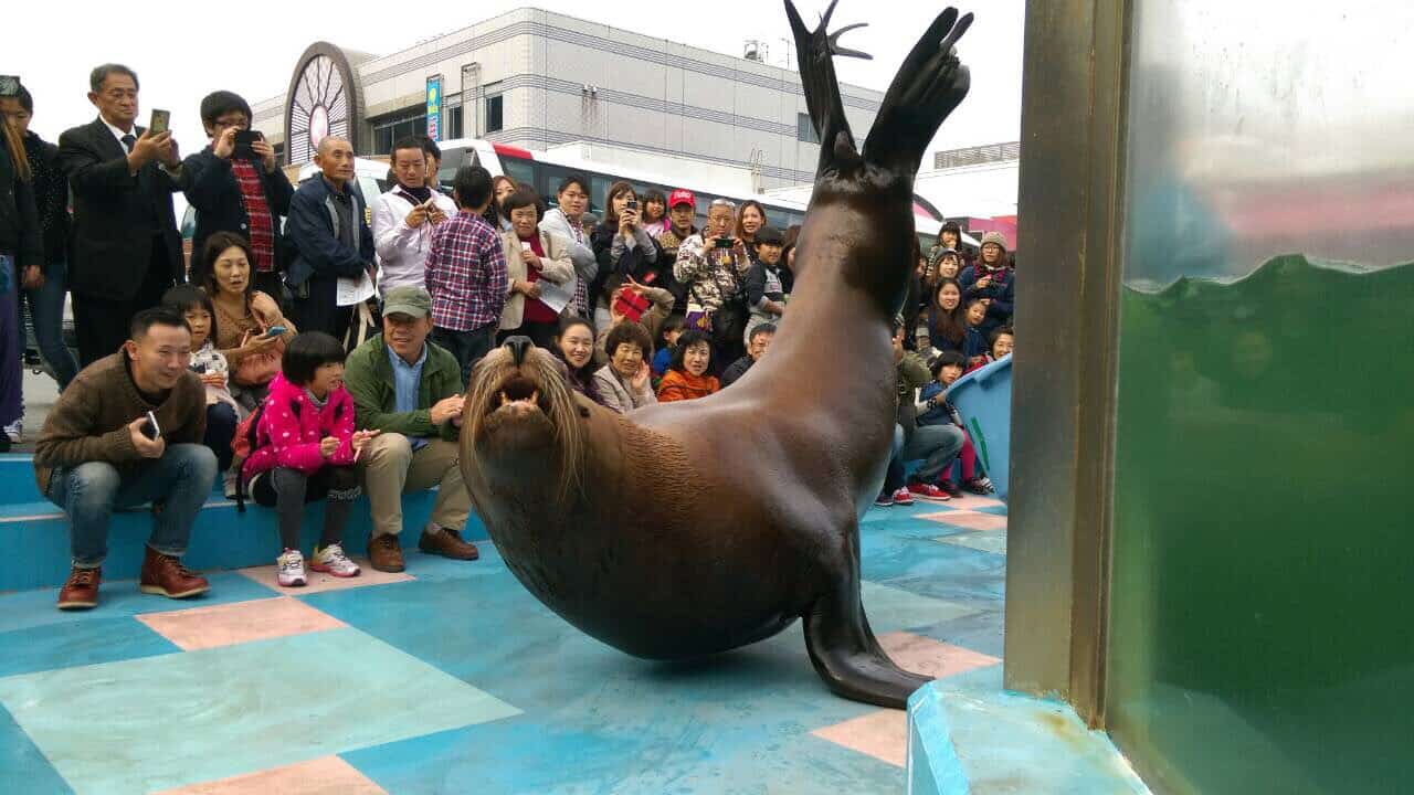 ที่เที่ยว มิเอะ (Mie) : อิเสะซีพาราไดซ์ (Ise Sea Paradise)