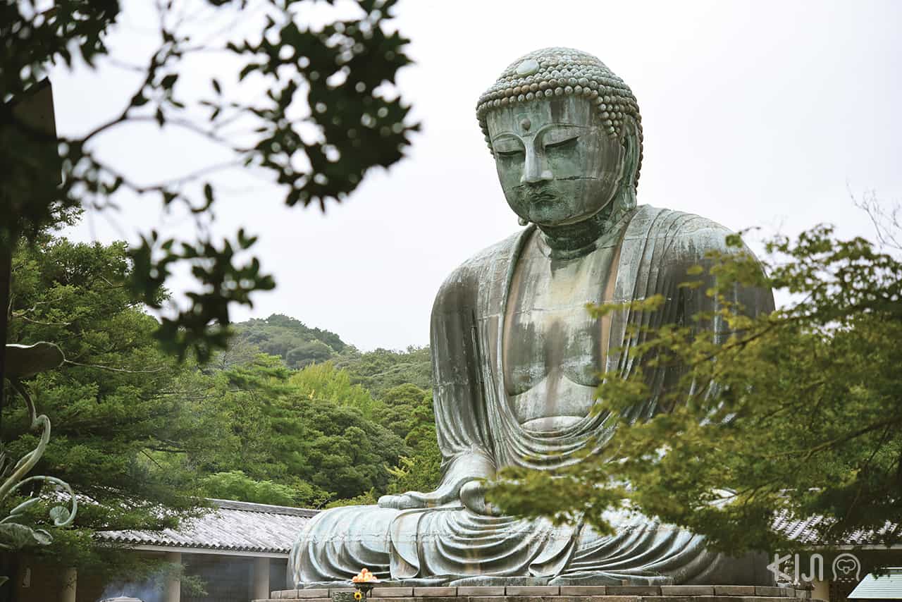 ที่เที่ยว คามาคุระ (Kamakura) : Kotoku-in Temple พระใหญ่ไดบุทสึ (Daibutsu)
