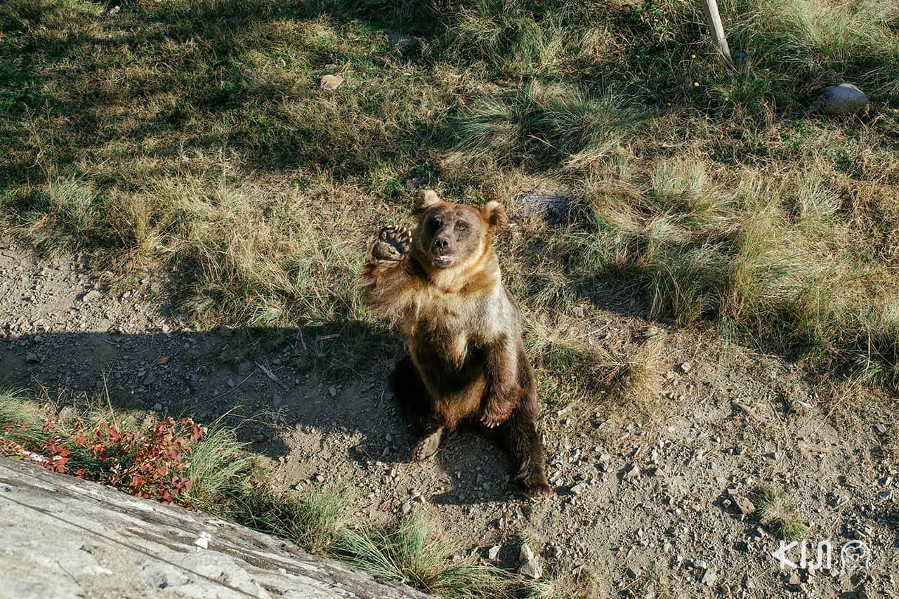 เที่ยว Himeji Central Park จ.เฮียวโงะ