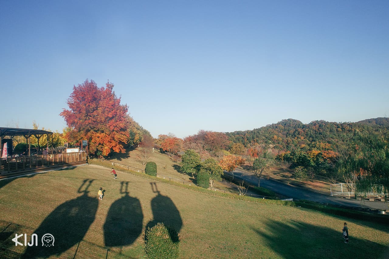 บรรยากาศภายใน Himeji Central Park