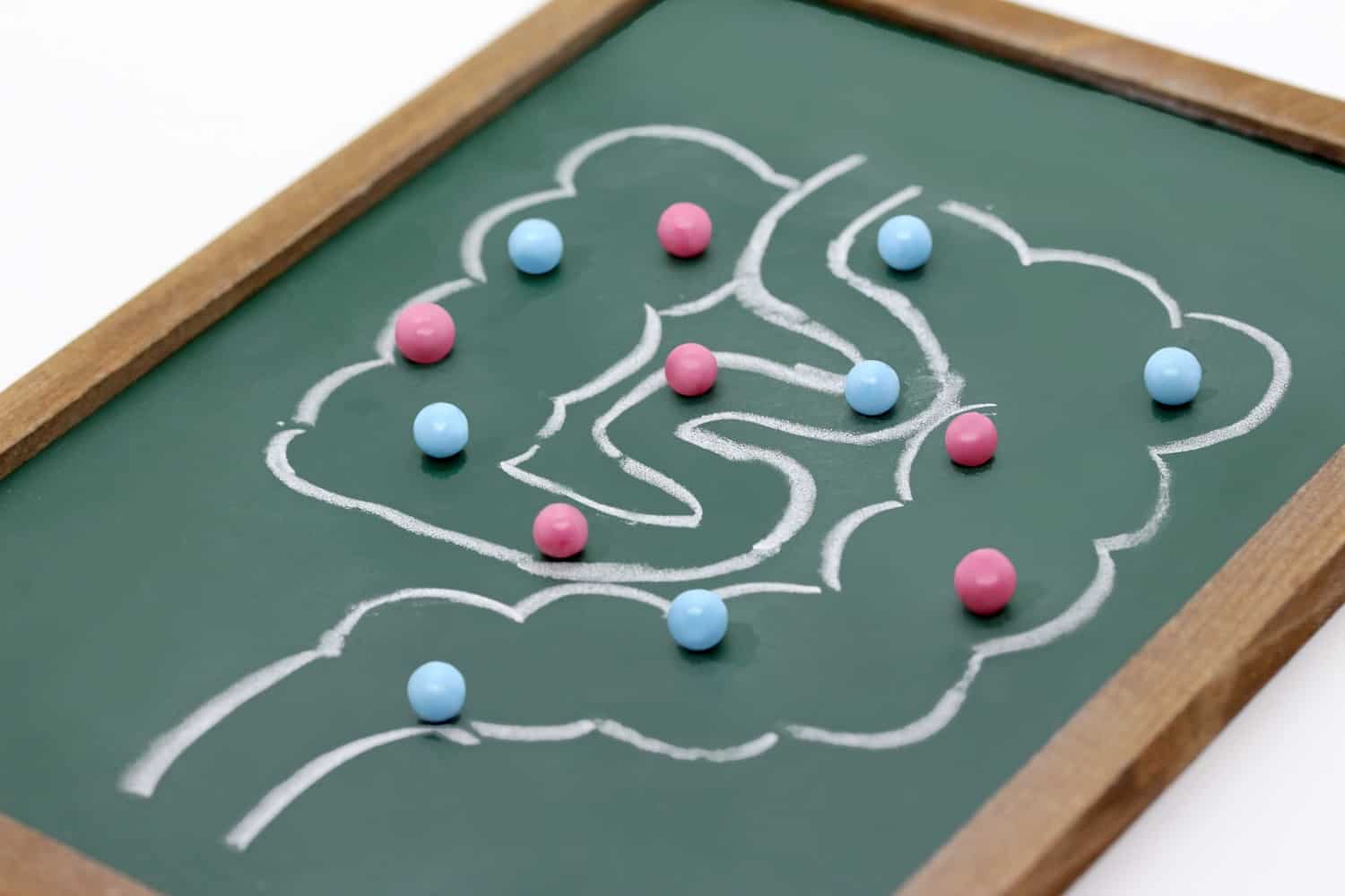 ระบบทางเดินอาหาร ลำไส้ ลำไส้ใหญ่ ระบบย่อยอาหาร กระเพาะ