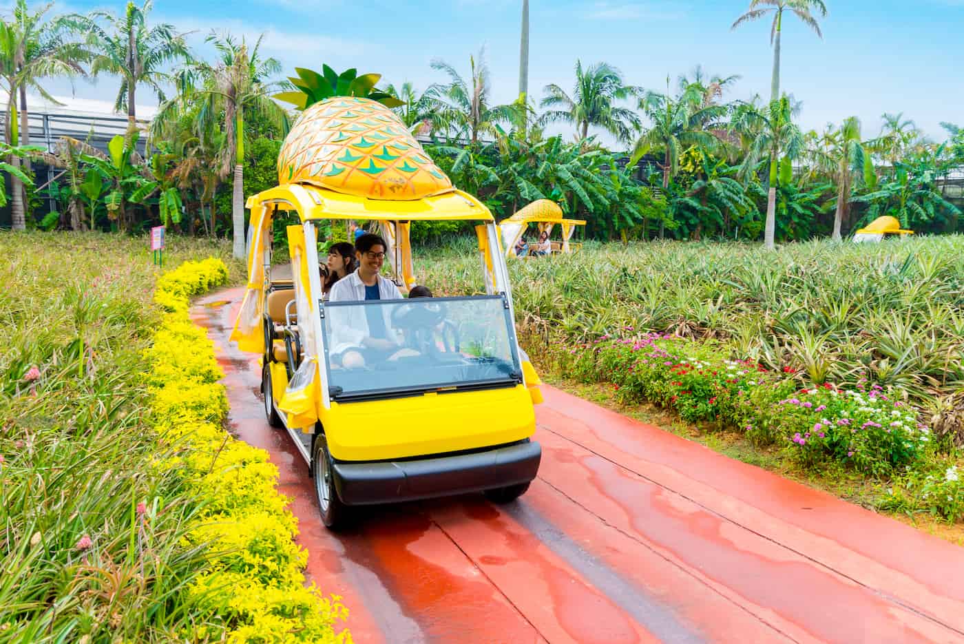 5 กิจกรรม ใน โอกินาว่า - Nago Pineapple Park