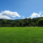 ce5cf02fa527772634ff72ec6c6c46d9_l