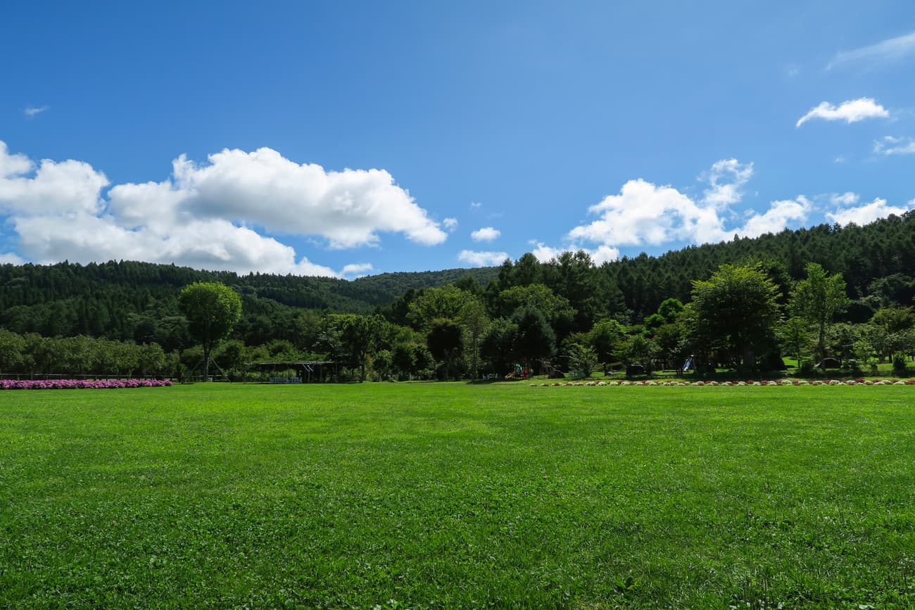 Forest and Park for the 21st Century จ.ชิบะ