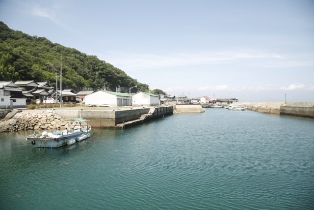 สถานที่ที่มี แมว ใน ญี่ปุ่น : เกาะซานากิจิมะ จังหวัดคางาวะ (Sanagijima, Kagawa)