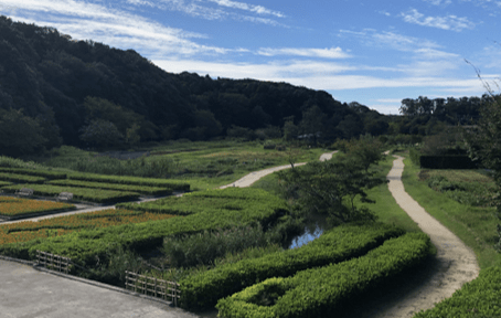 Forest and Park for the 21st Century : Midori no Sato