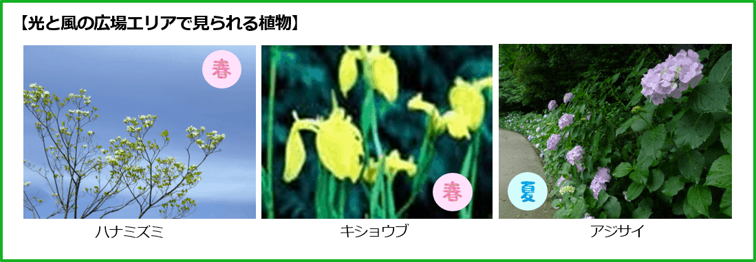 Hikari to Kaze no Hiroba