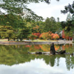 วัดชูซอนจิ ใบไม้เปลี่ยนสี อิวาเตะ