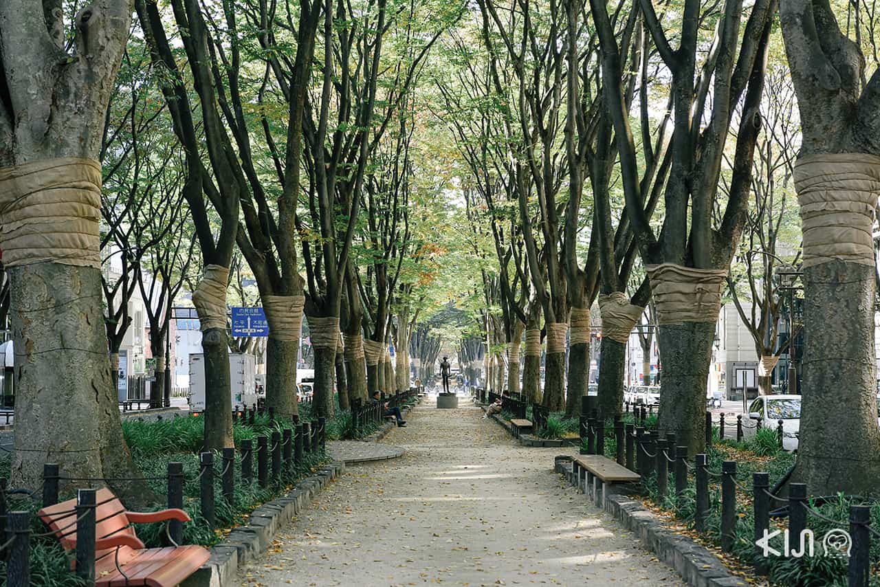 Jozenji-dori Green Park ถนนใจกลางเมือง Sendai