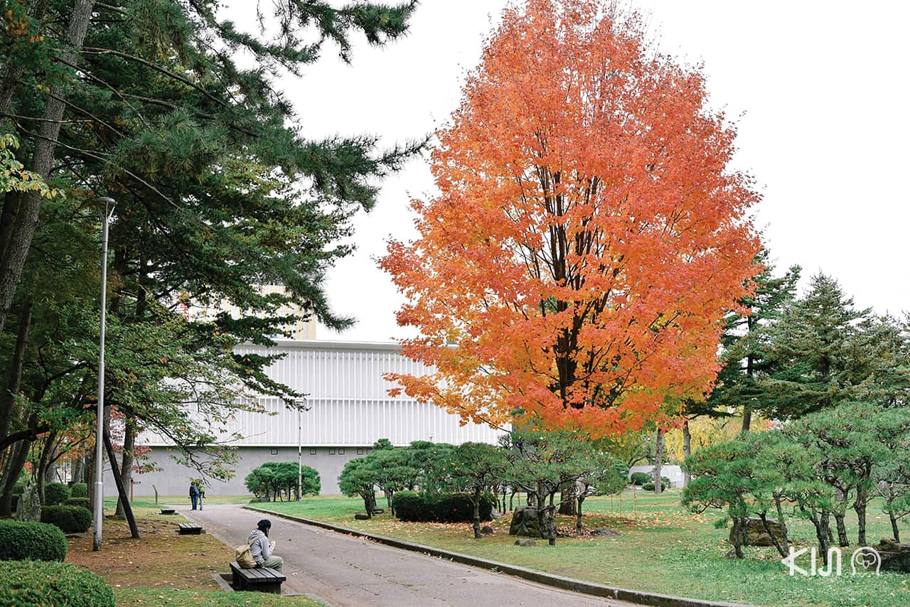 บรรยากาศสุดร่มรื่นที่ Morioka Castle Site Park
