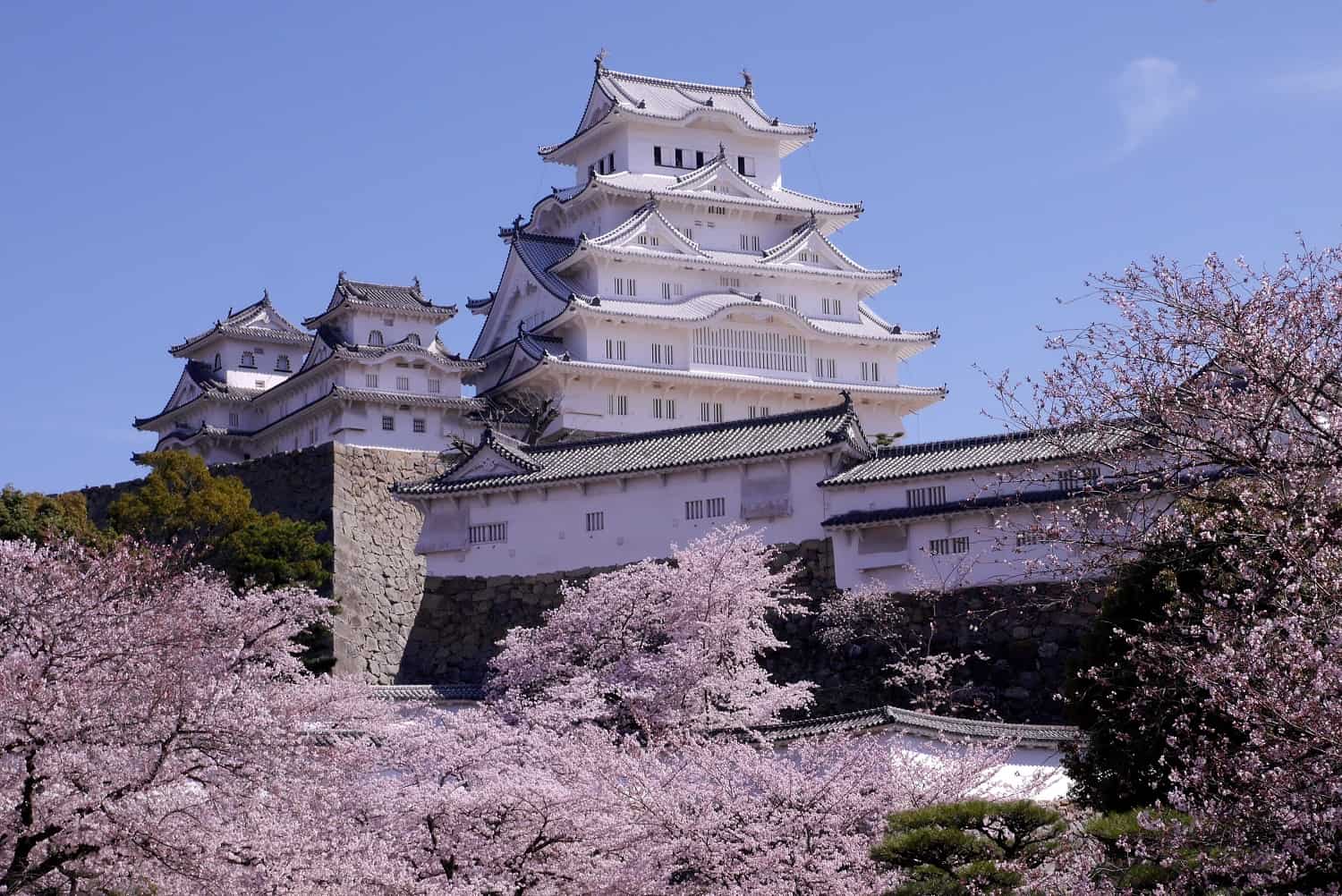 ปราสาทฮิเมจิ Himeji Castle ฮิเมจิ เฮียวโงะ
