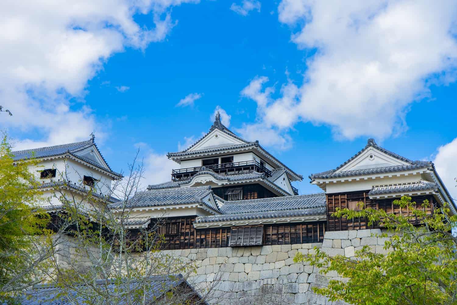 ปราสาทมัตสึยามะ (Matsuyama Castle) ปราสาทญี่ปุ่น ในเมืองมัตสึยามะ จังหวัดเอฮิเมะ