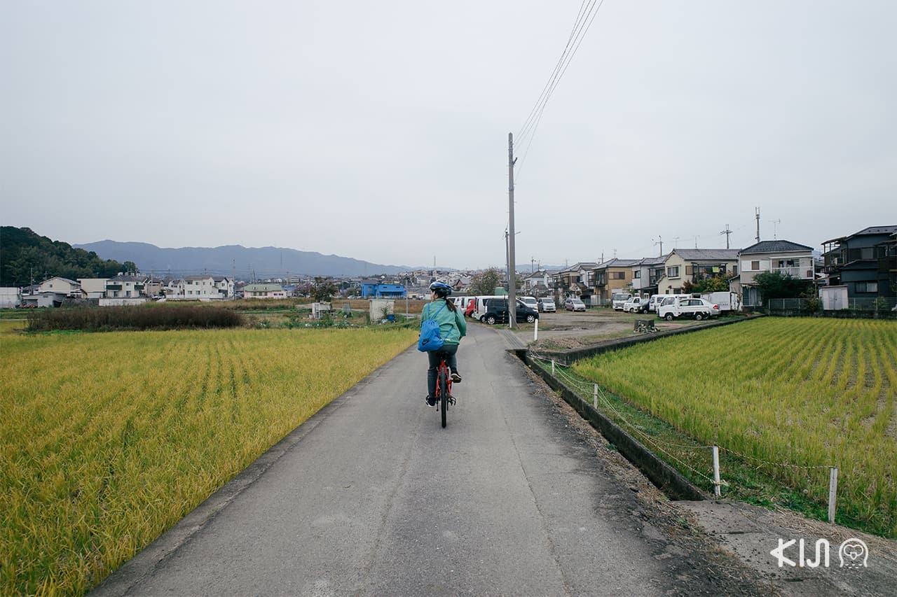 กิจกรรมปั่นจักรยานชมวิวทิวทัศน์รอบเมืองโอตสึ (Otsu)