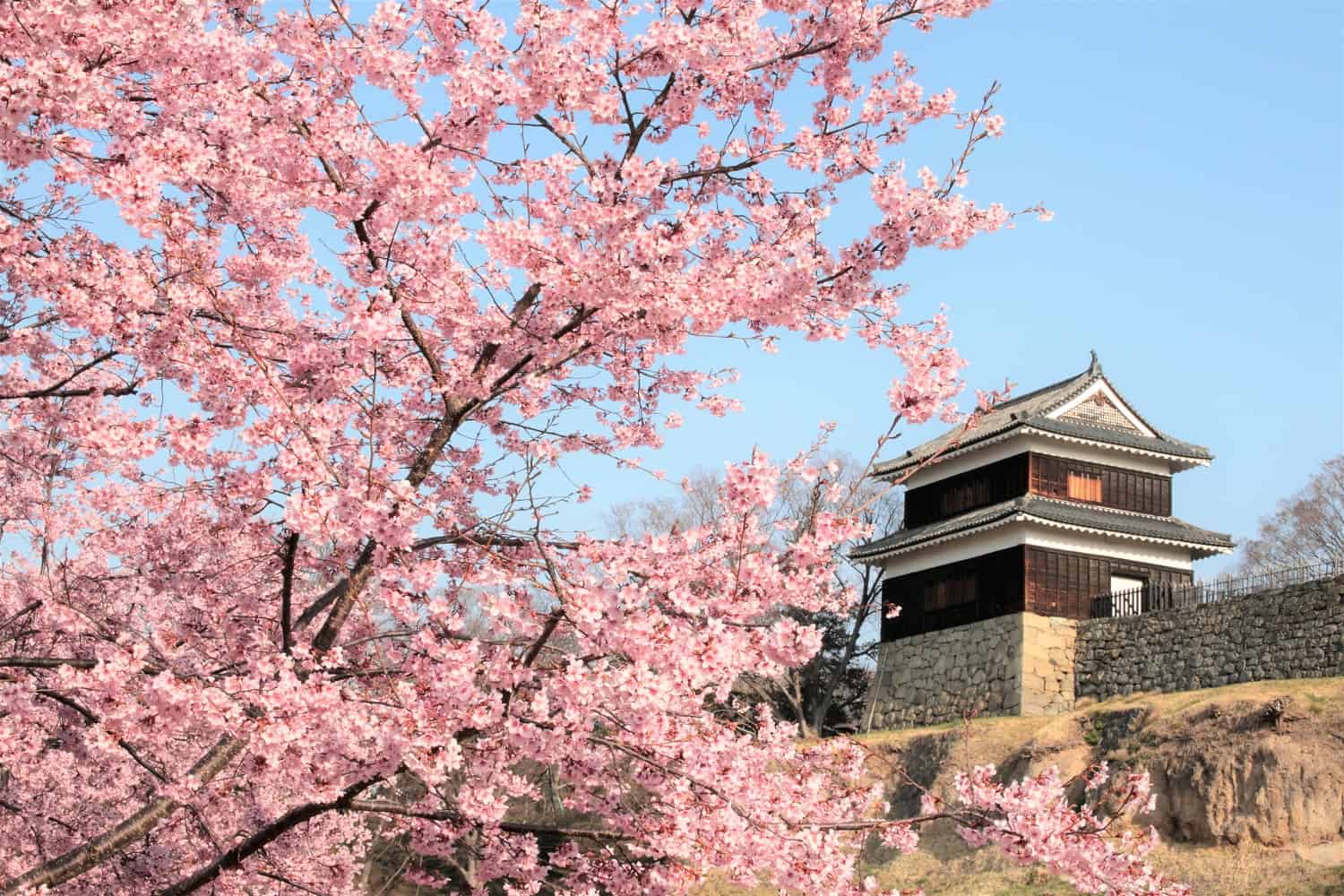 ปราสาทอุเอดะ (Ueda Castle) ปราสาทญี่ปุ่น ซึ่งทุกคนรู้จักในฐานะสนามรบหลายครั้ง ตั้งอยู่ที่จ.นากาโน่