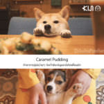 Youtube_FB_Artboard 10