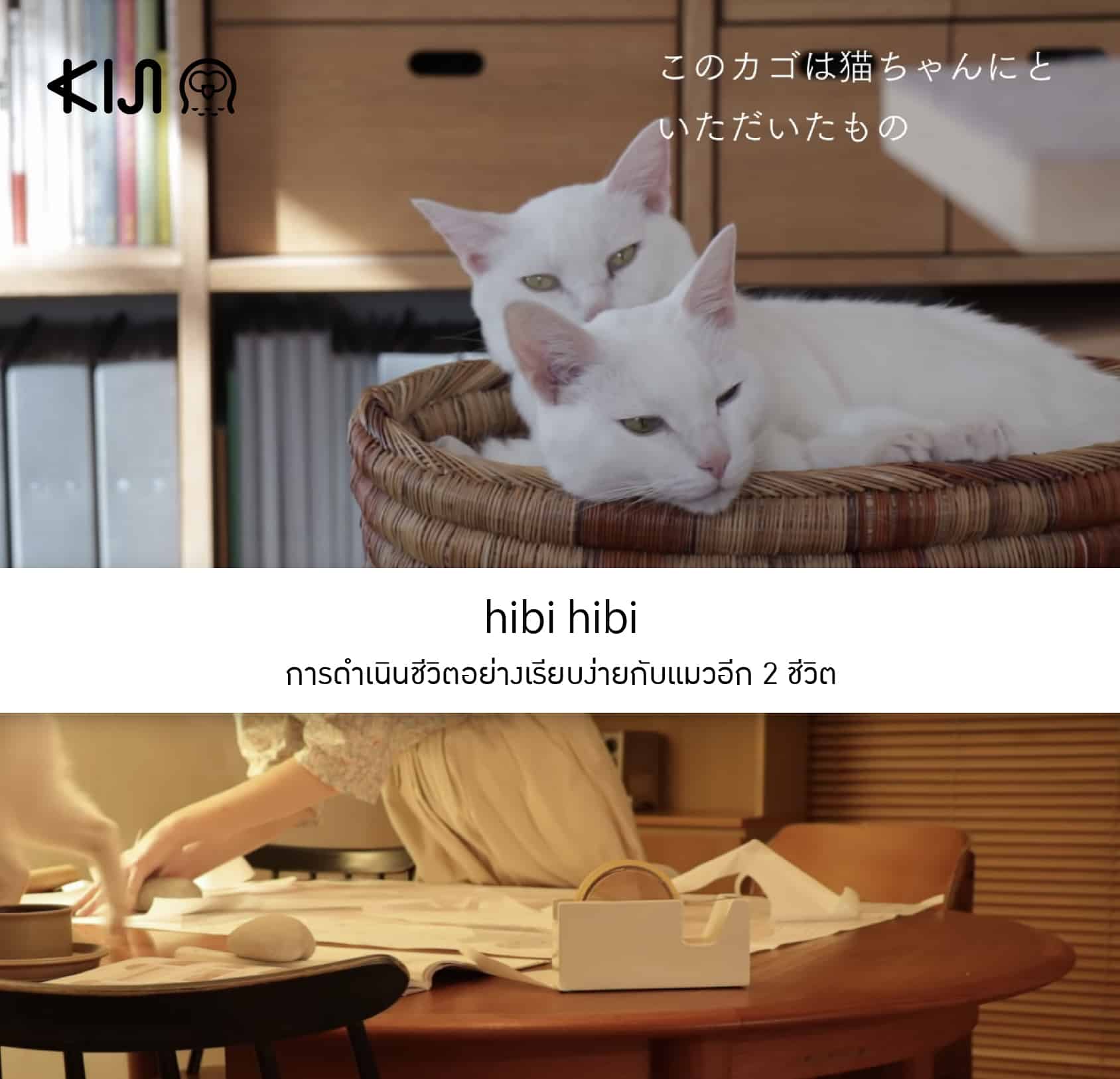 hibi hibi ยูทูปเบอร์ญี่ปุ่น ที่นำเสนอการดำเนินชีวิตอย่างเรียบง่ายกับแมวอีก 2 ชีวิต