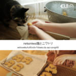 Youtube_FB_Artboard 8