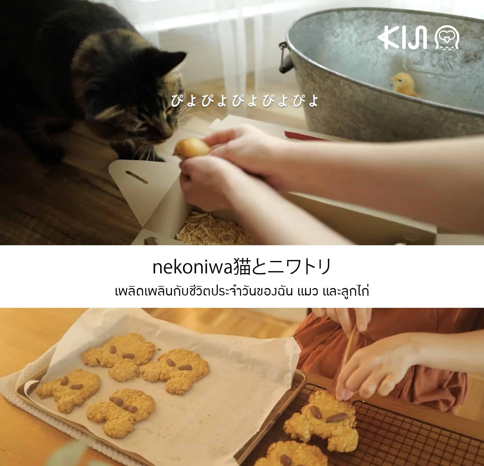 ยูทูปเบอร์ญี่ปุ่น ที่จะชวนคุณเพลิดเพลินไปกับชีวิตประจำวันของฉัน แมว และลูกไก่