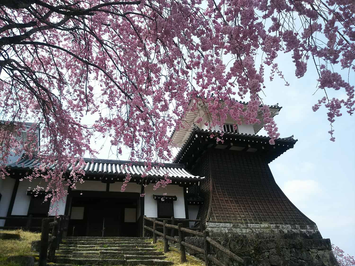 ปราสาทอิวามุระ Iwamura Castle เอนะ กิฟุ