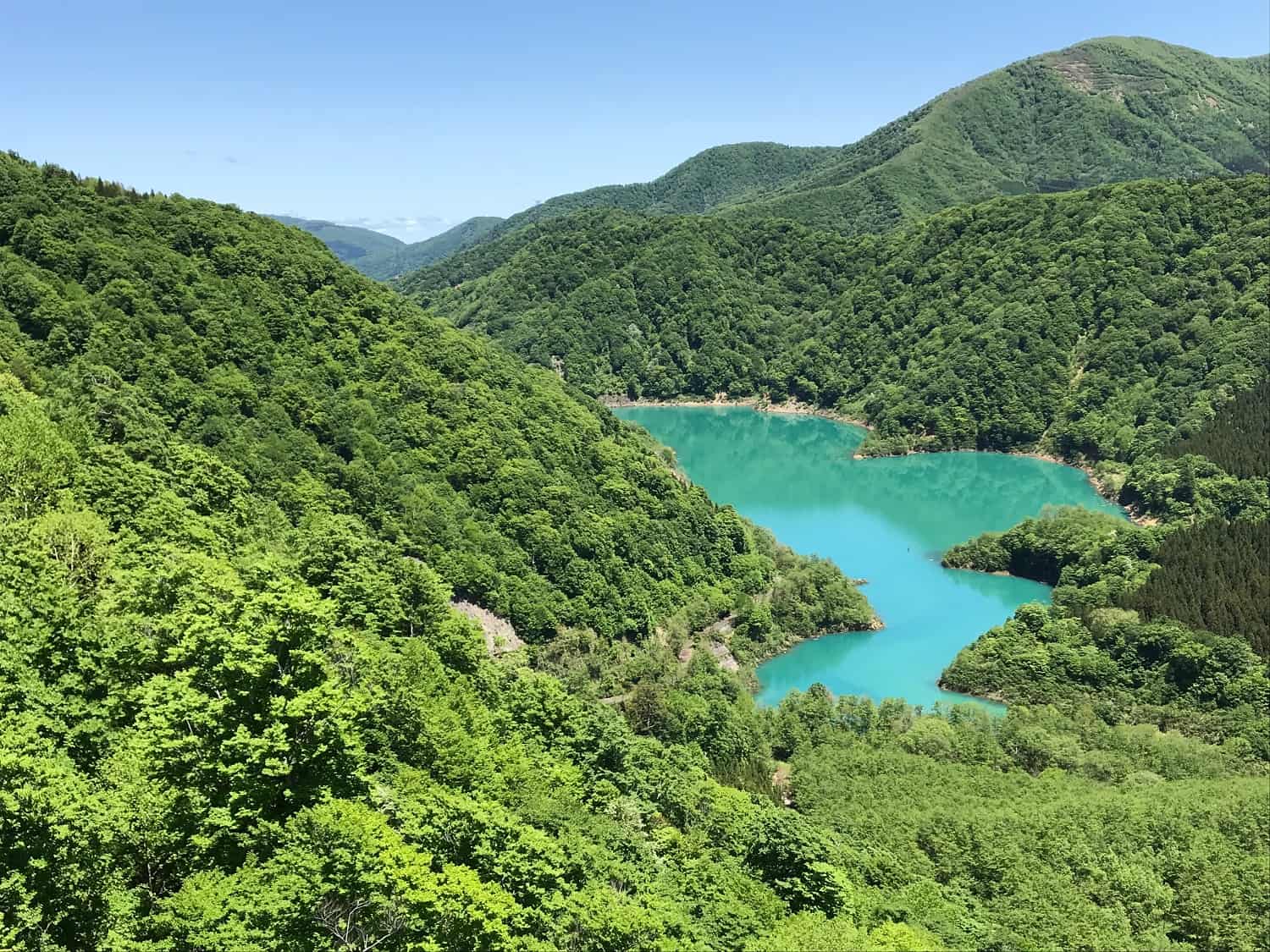 Naeba Dragondola กระเช้าลอยฟ้าที่จะเคลื่อนผ่านธรรมชาติอันอุดมสมบูรณ์ของจ.นีงาตะ