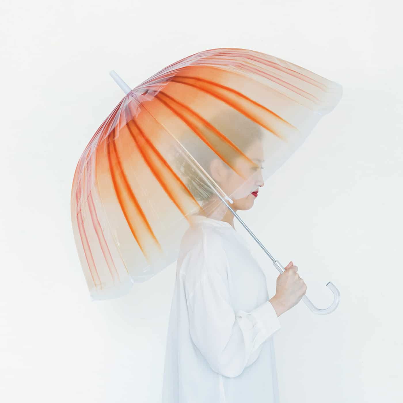 Japanese Sea Nettle ได้แรงบันดาลใจจากแมงกะพรุนไฟของ Kamo Aquarium