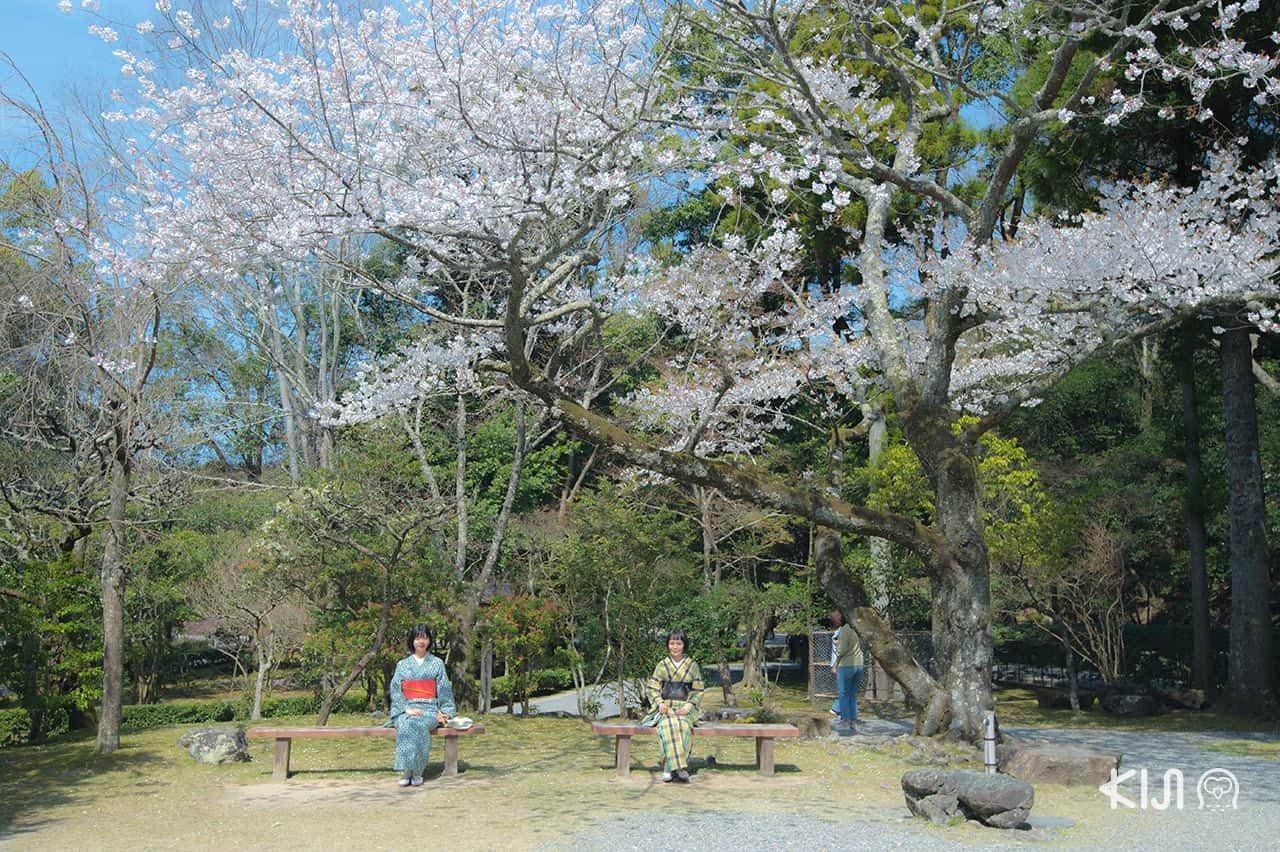 ทริป เที่ยว มิเอะ : บรรยากาศภายในศาลเจ้าอิเสะ