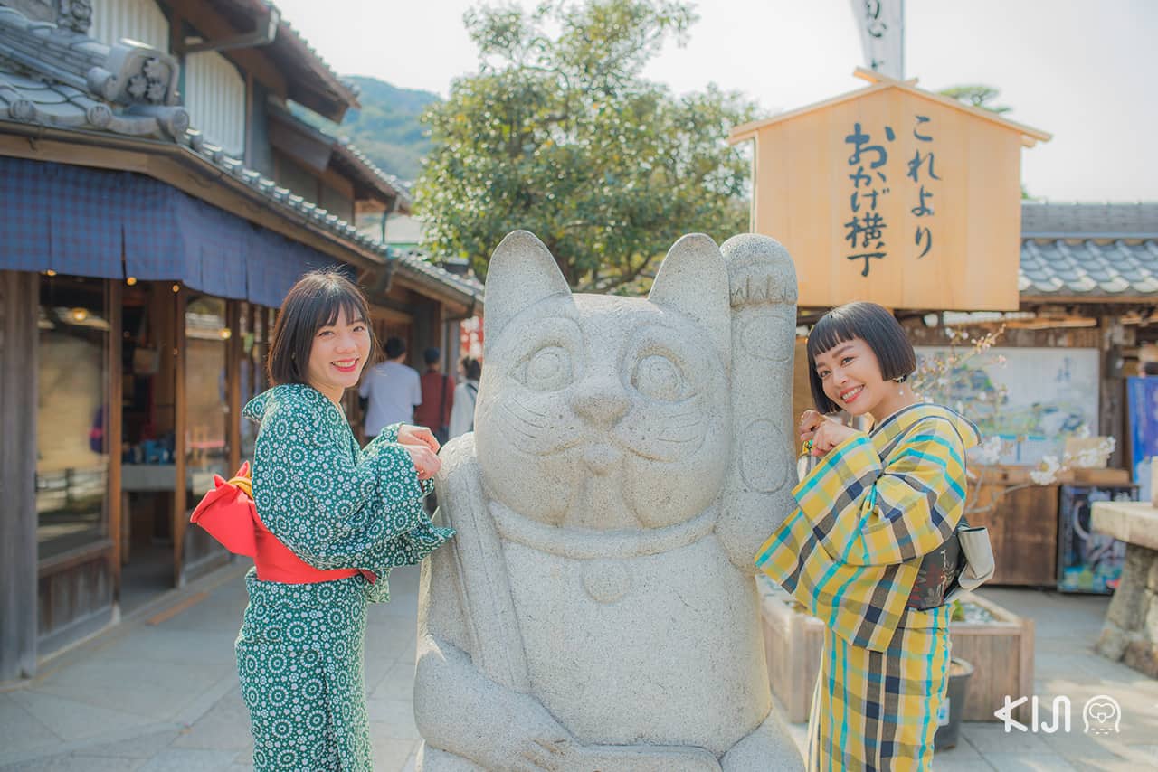 เที่ยว มิเอะ : แมวกวักที่ไม่ว่าใครก็อยากเข้าเฟรมด้วย