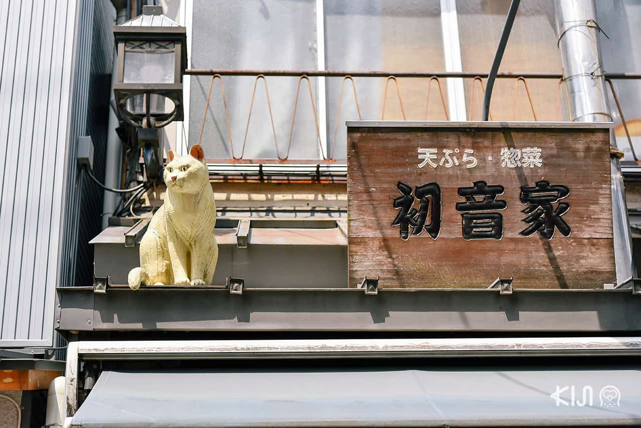 แมวที่แทรกตัวอยู่ทุกมุมของย่าน Yanaka Ginza