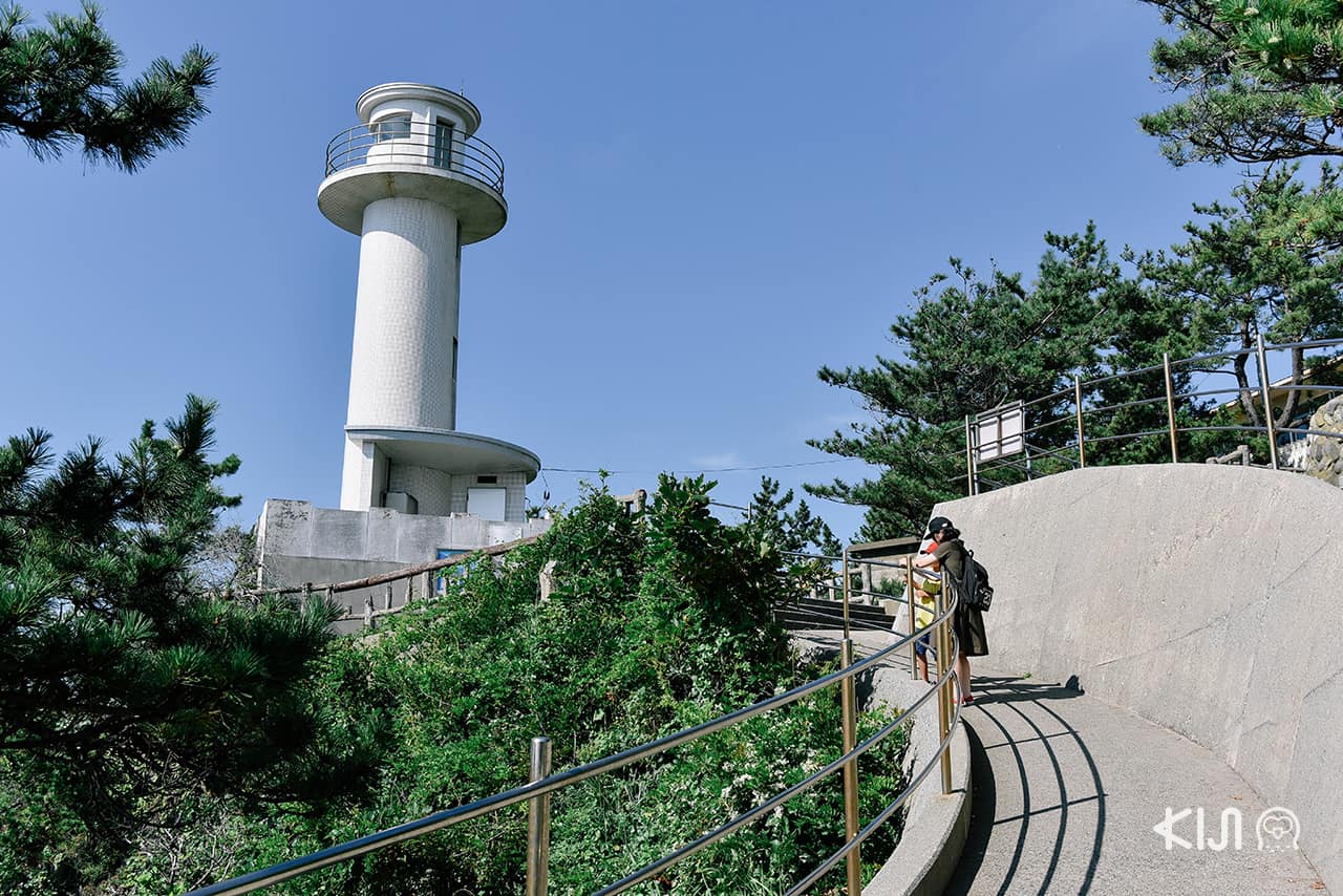 ประภาคารอันโดดเด่น สุดยอดจุดชมวิวบน เกาะซาโดะ