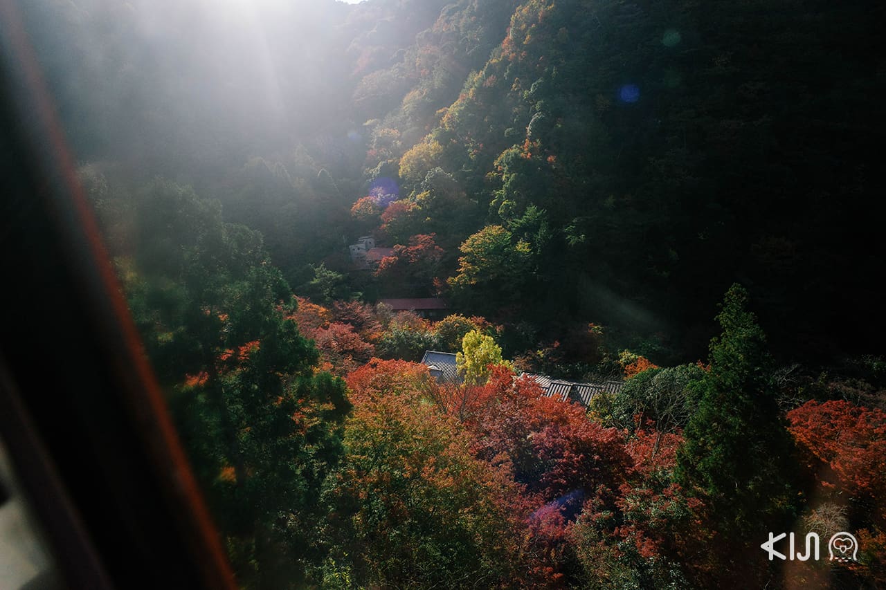 วิวใบไม้เปลี่ยนสีจากบนกระเช้าระหว่าง Mt.Rokko กับ Arima Onsen