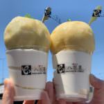 102943139_292869578415634_4438733765752784256_n