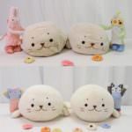 96941712_3054299927954347_18592964963991552_n