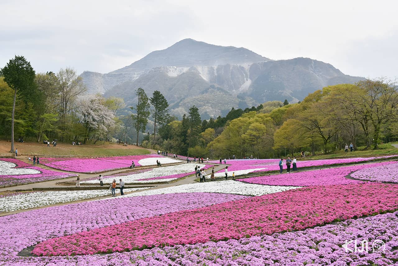 ที่เที่ยวไม่ไกลโตเกียว : จิจิบุ จ.ไซตามะ