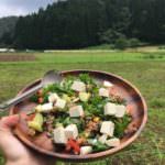Handmade Meal in Kinosaki Onsen