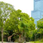 b5423601ad50405ca445004fd3988050_m