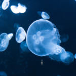 192E24DE-944F-44AB-BD1B-EFE2C1FE3016