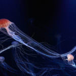 3CD173C0-F21B-494D-980B-363F12504366