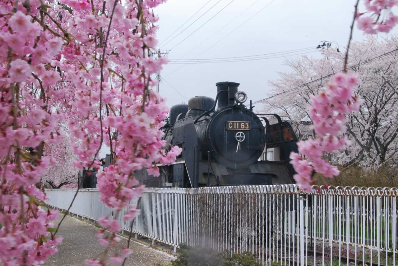จุดชมซากุระนิชชูเซนในหมู่บ้านออนเซ็น ฟุกุชิมะ