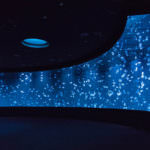 74D5012F-2B55-4DC4-A6BB-E013993730F8