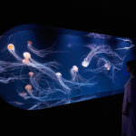 7C1F6DA8-2519-43CE-8EA7-0E7883B0C245