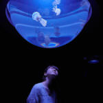 924AF608-BA06-413C-B24D-DE2DCD389CBD