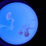 99FAB164-412B-4C45-9FB1-4E622B47A22F