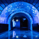 C673CF47-78F9-40C1-9526-6665EC7EFD86