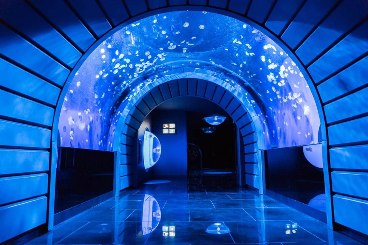 บริเวณโซน Kurage Tunnel ภายใน Sunshine Aquarium