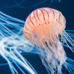 CD71699C-6507-4BAF-8E93-DD42FC44BD83