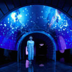 D3EEEE19-EF82-45AD-9E66-CEA8DD994F33