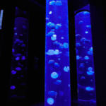 DEE898E9-1DBD-4999-9409-69BF7B79457C