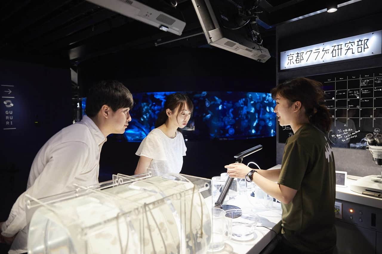 แผนกวิจัยแมงกะพรุนเกียวโตที่อยู่ภายใน Kyoto Aquarium 