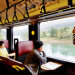 Oykot Scenery (Carissa)