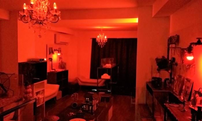 คาเฟ่เม่นแคระ (Hedgehog Cafe) ใน โตเกียว : Gogo 2 ji no Harinezumisan